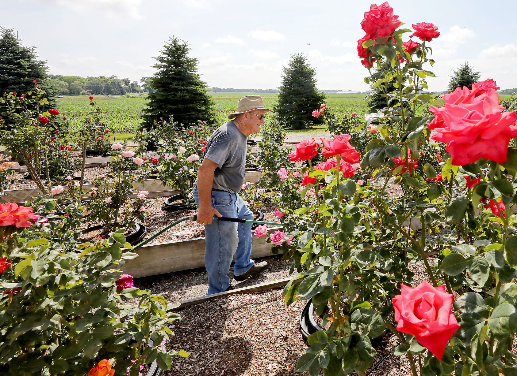 Delavan Rose Garden